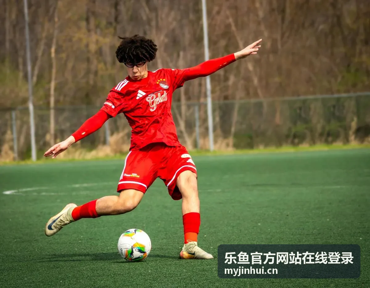 乐鱼官方网站在线登录平台界面预览