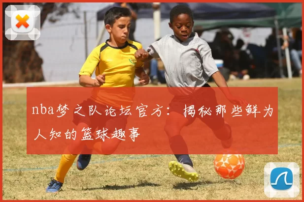 nba梦之队论坛官方：揭秘那些鲜为人知的篮球趣事