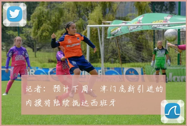 记者：预计下周，津门虎新引进的内援将陆续抵达西班牙