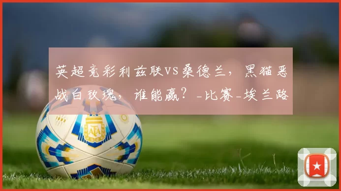 英超竞彩利兹联vs桑德兰,黑猫恶战白玫瑰,谁能赢?_比赛_埃兰路_客场
