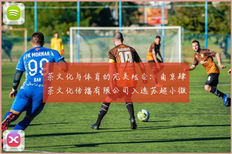 茶文化与体育的完美结合：南京肆茶文化传播有限公司入选苏超小微赞助商备选名单