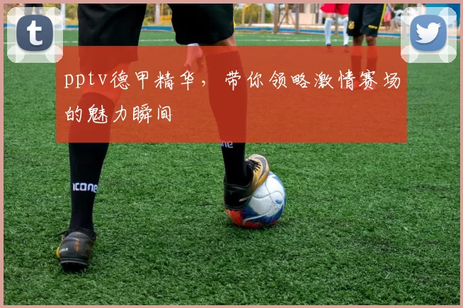 pptv德甲精华，带你领略激情赛场的魅力瞬间