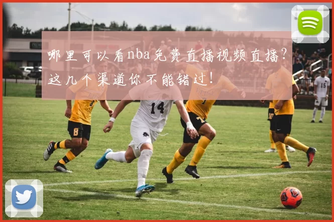 哪里可以看nba免费直播视频直播？这几个渠道你不能错过！