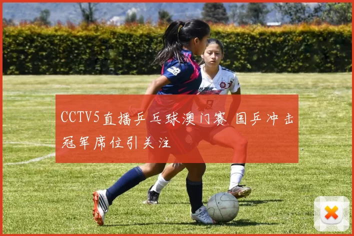 CCTV5直播乒乓球澳门赛 国乒冲击冠军席位引关注