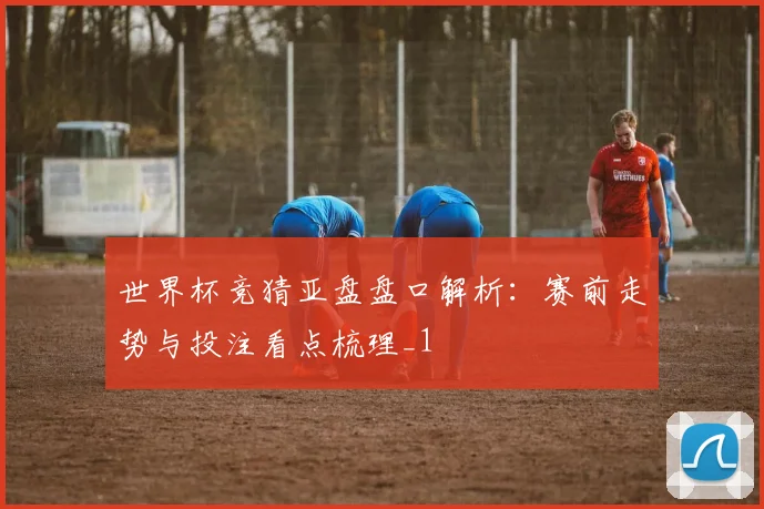 世界杯竞猜亚盘盘口解析:赛前走势与投注看点梳理_1