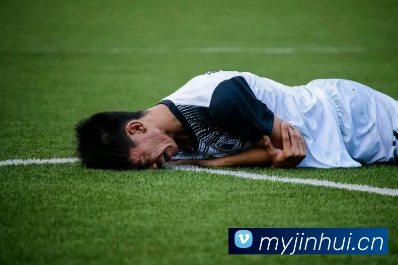 开云(中国)Kaiyun·官方网站 - 登录入口平台生态图