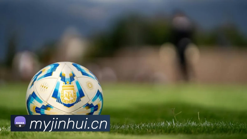 开云(中国)Kaiyun·官方网站 - 登录入口平台生态图