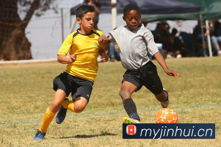 开云(中国)Kaiyun·官方网站 - 登录入口全站App